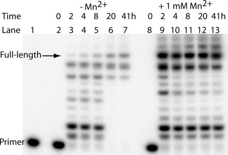 Fig. 5.