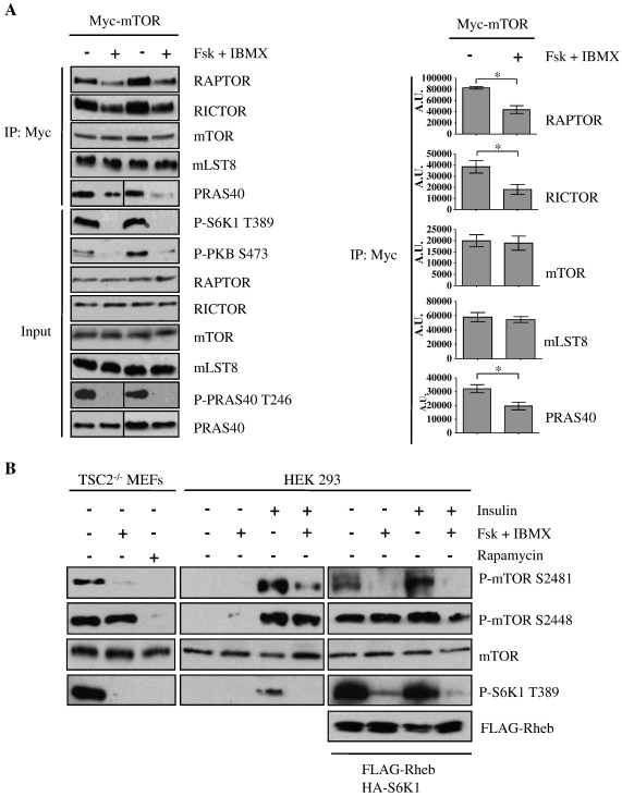 Fig. 6