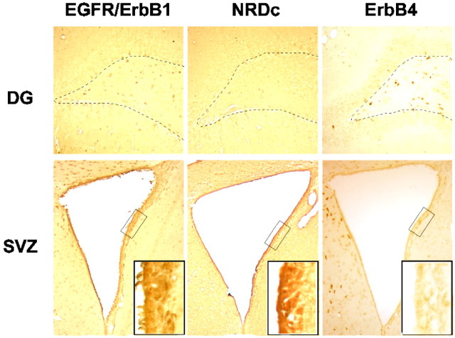 Fig. 10.