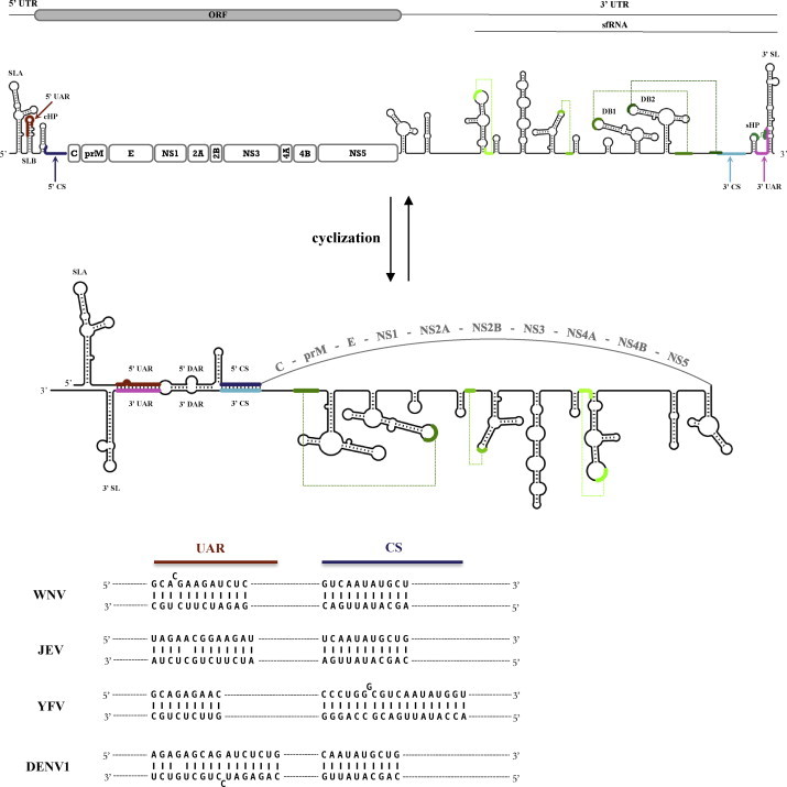 Fig. 1