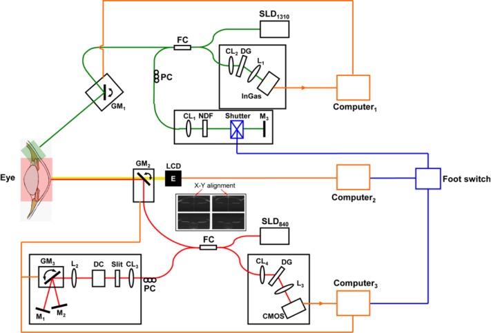 Fig. 1