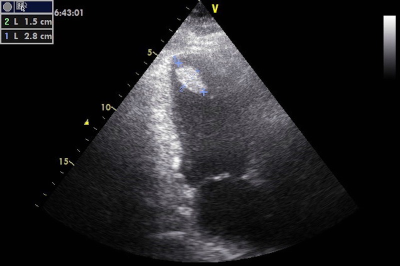 Figure 3