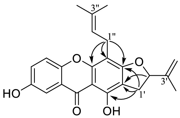 Fig. 2