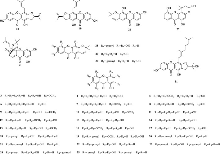 Fig. 1