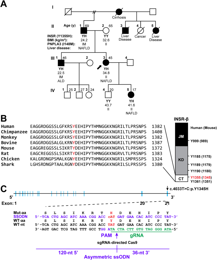 Figure 1