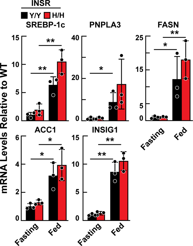 Supplemental Figure 2