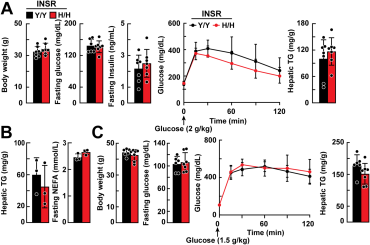 Figure 3