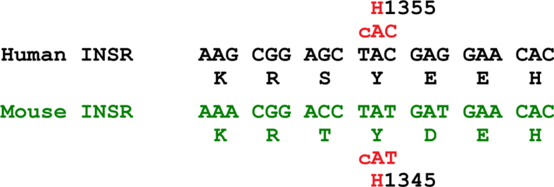 Supplementary Figure 1