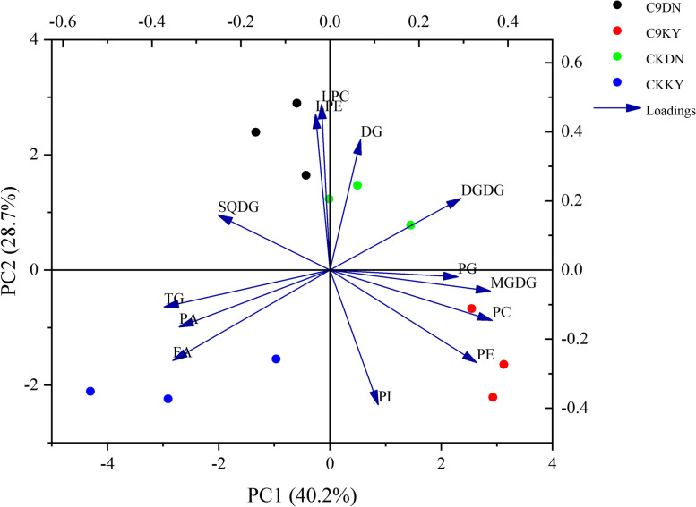 Fig. 8