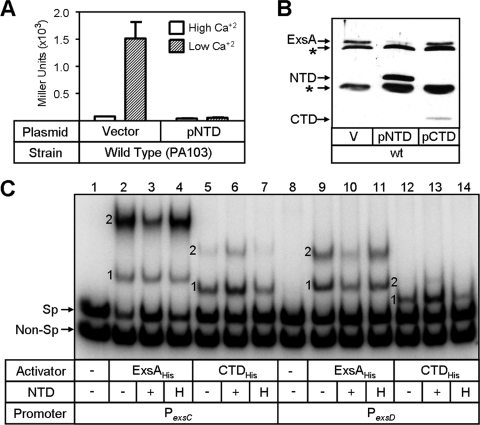 FIG. 8.