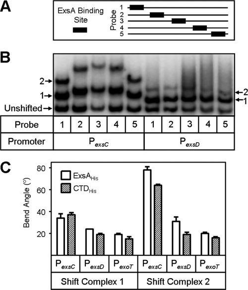 FIG. 6.