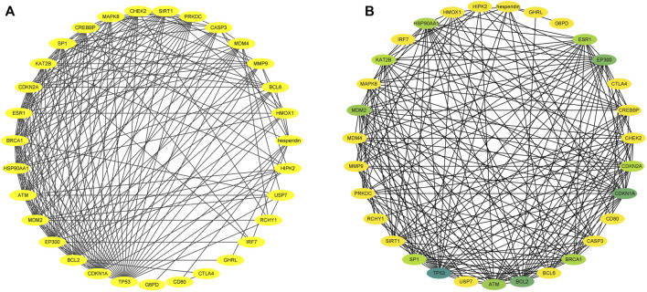 FIGURE 3