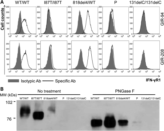 Figure 3.