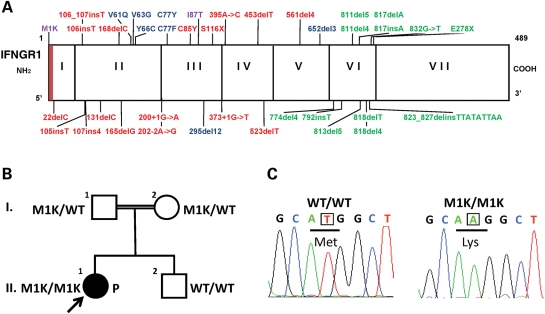 Figure 1.