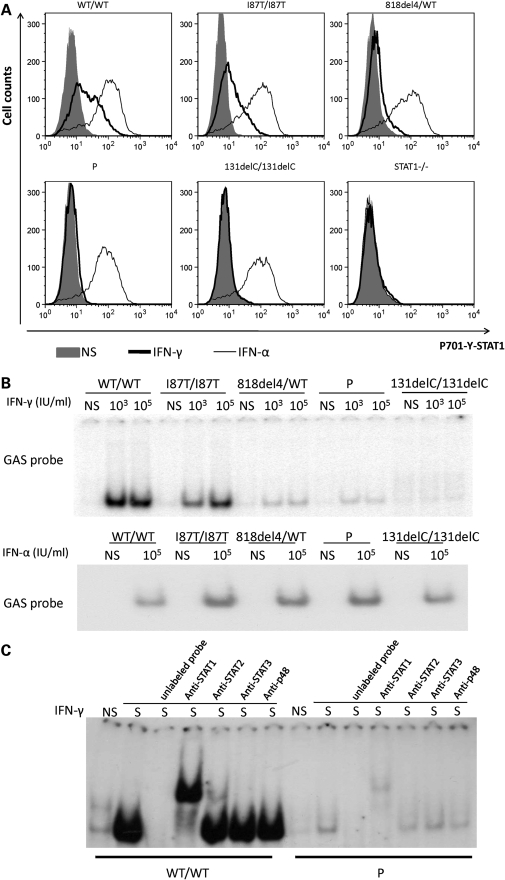 Figure 4.