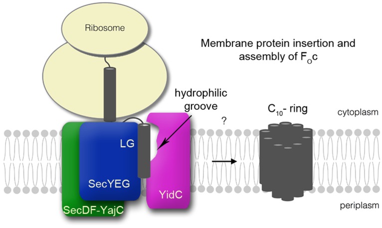 Figure 6.