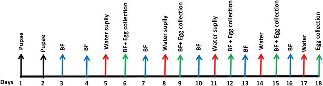 Fig. 2