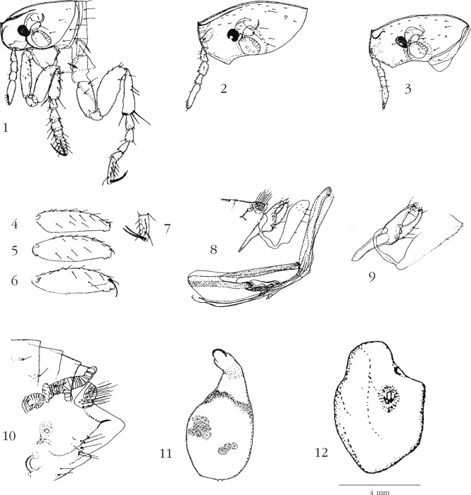 Figures 1–12.