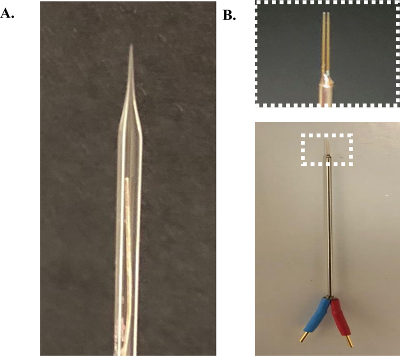 Figure 12: