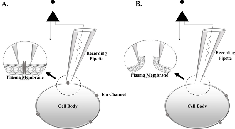 Figure 1: