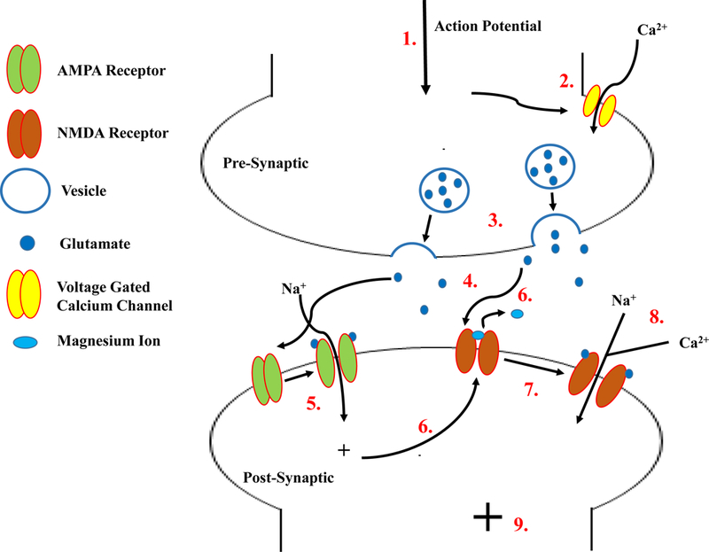 Figure 2: