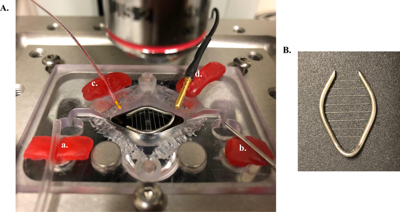 Figure 6: