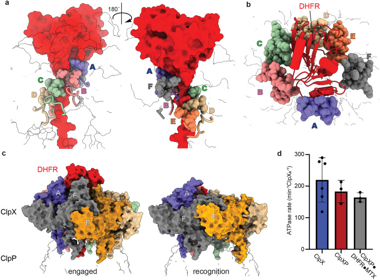 Figure 2: