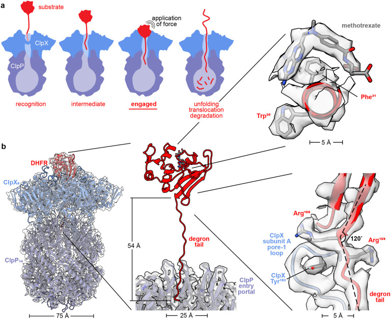 Figure 1: