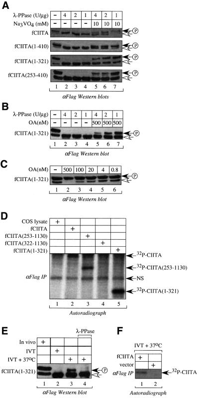 graphic file with name cdf557f3.jpg