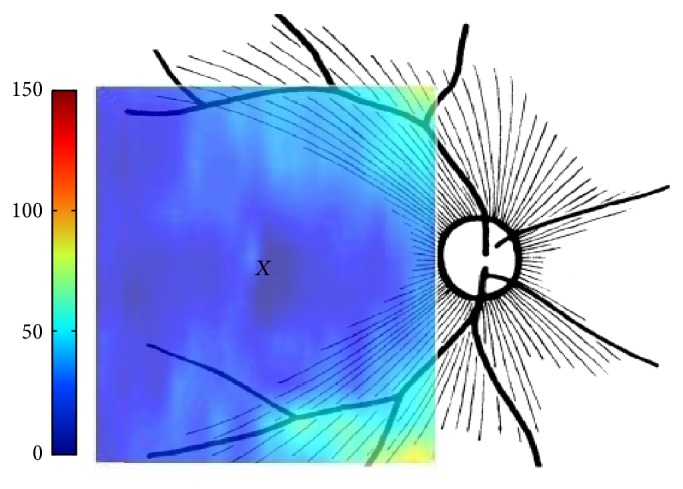 Figure 9