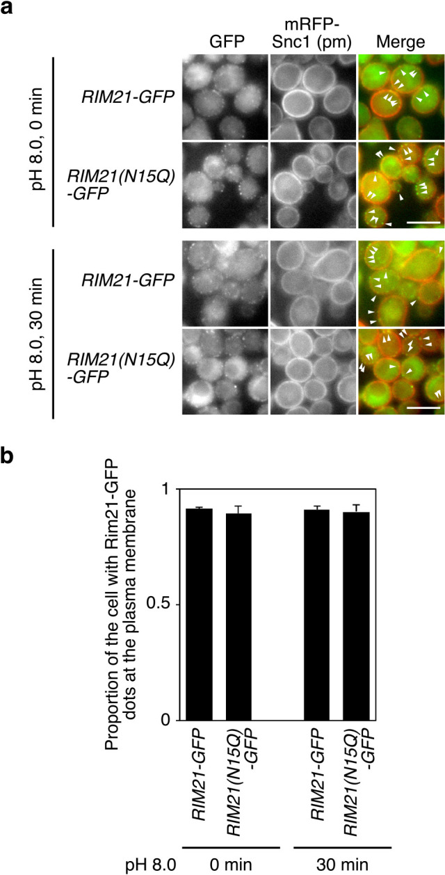 Fig. 4