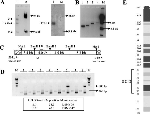 FIG. 1.