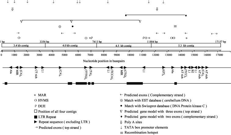 FIG. 2.