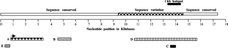 FIG. 12.