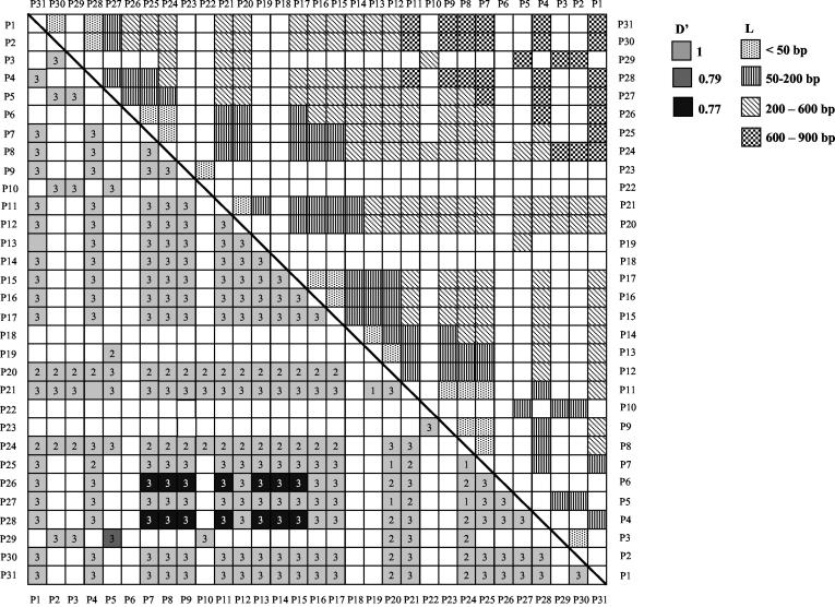 FIG. 7.