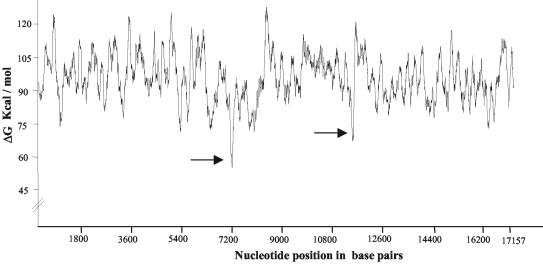 FIG. 3.