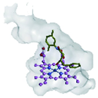 graphic file with name c8md00230d-u18.jpg