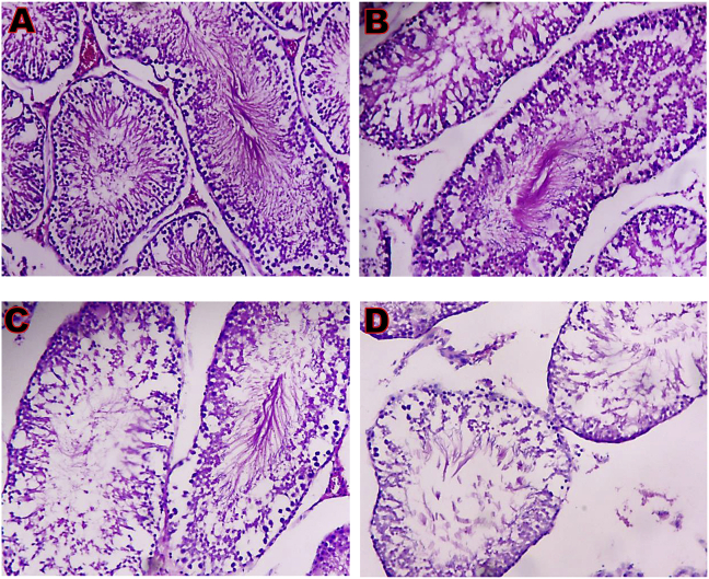 Fig. 7