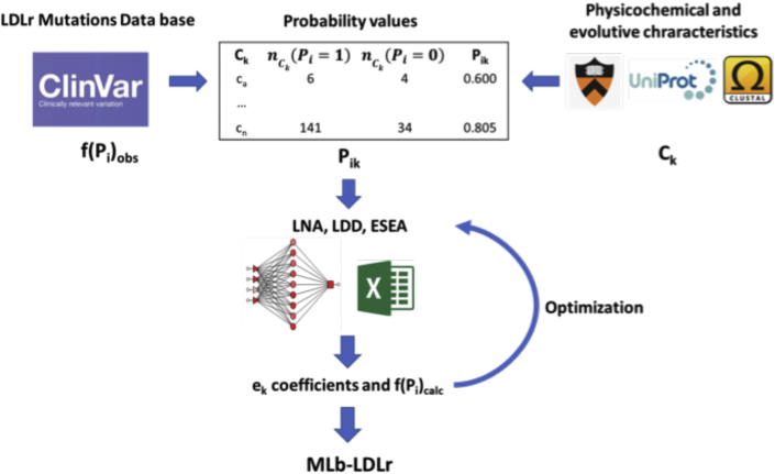 Figure 1