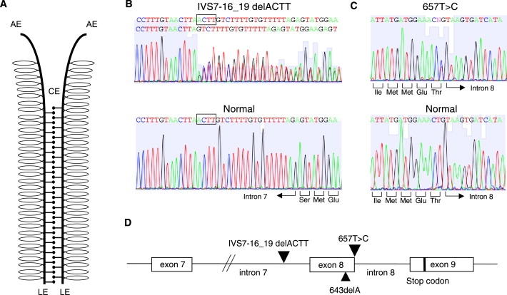 Figure 1