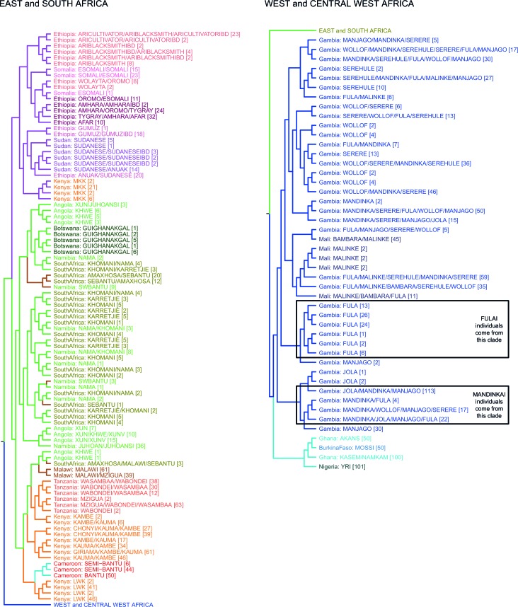 Figure 1—figure supplement 3.