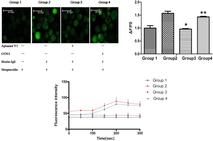 Fig 10