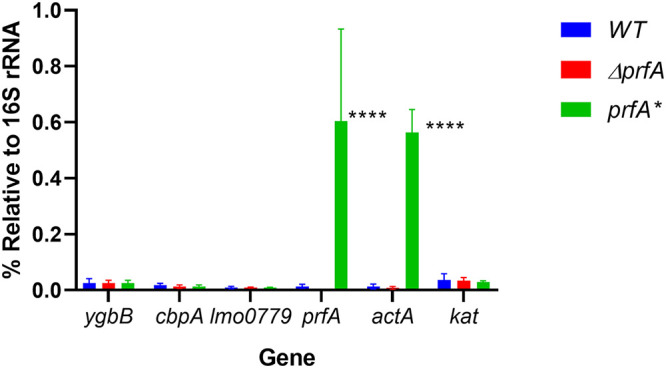 FIG 5