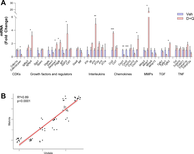 Figure 6—figure supplement 1.