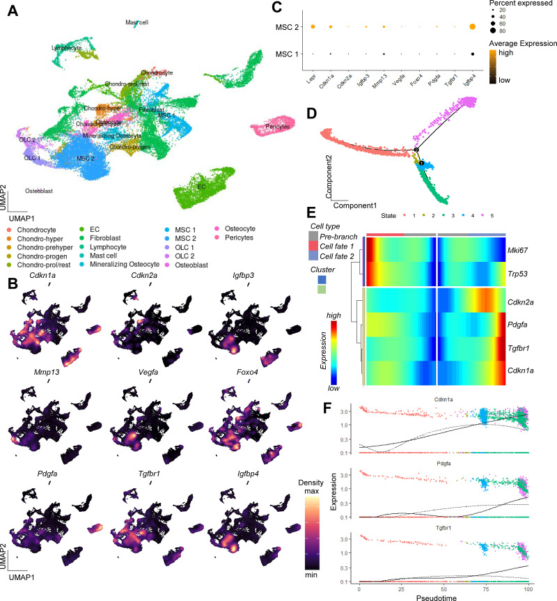 Figure 4—figure supplement 2.