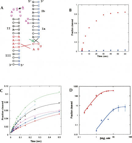 FIGURE 1.