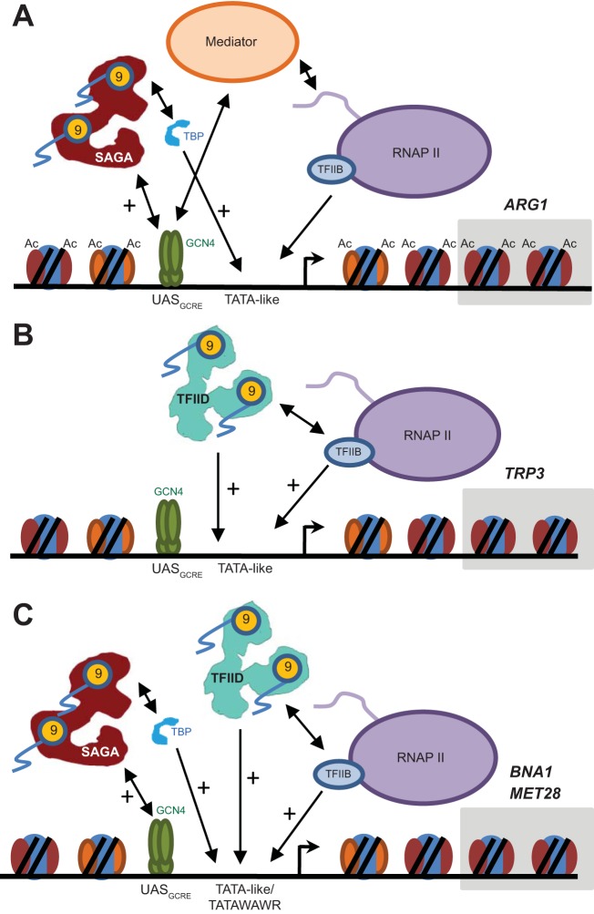 FIG 9