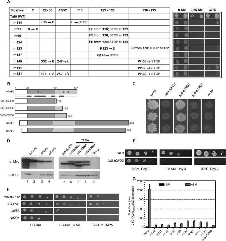 FIG 1