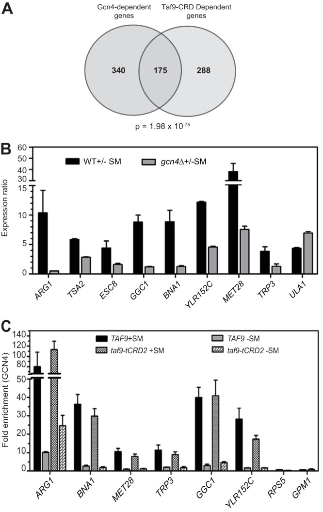 FIG 4