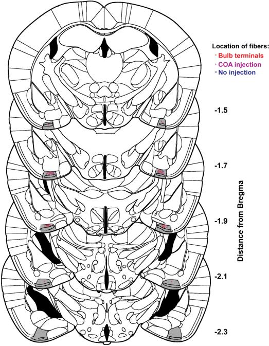 Extended Data Figure 2